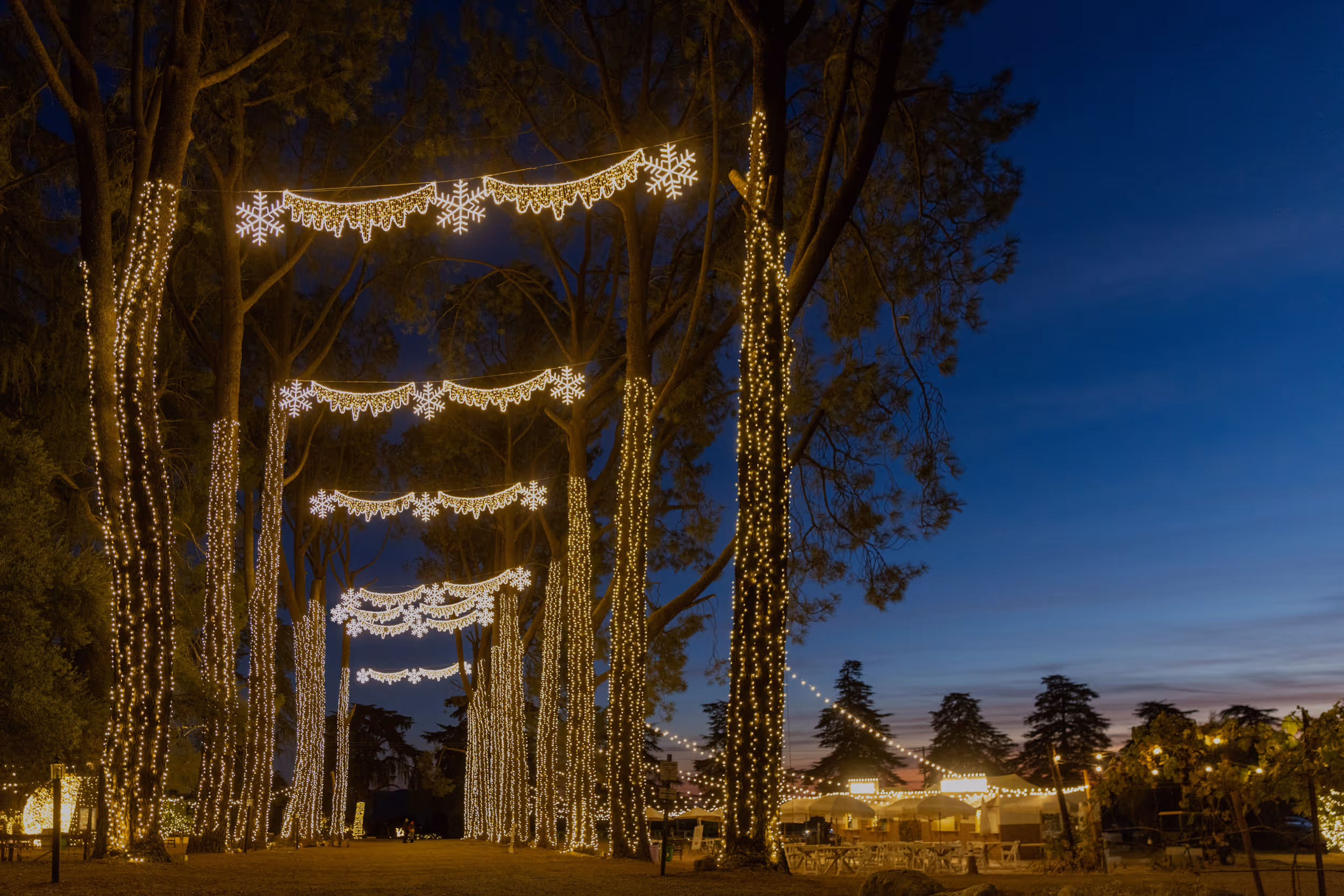 Trees and overhead snowflake decorations illuminated at Christmas Nights