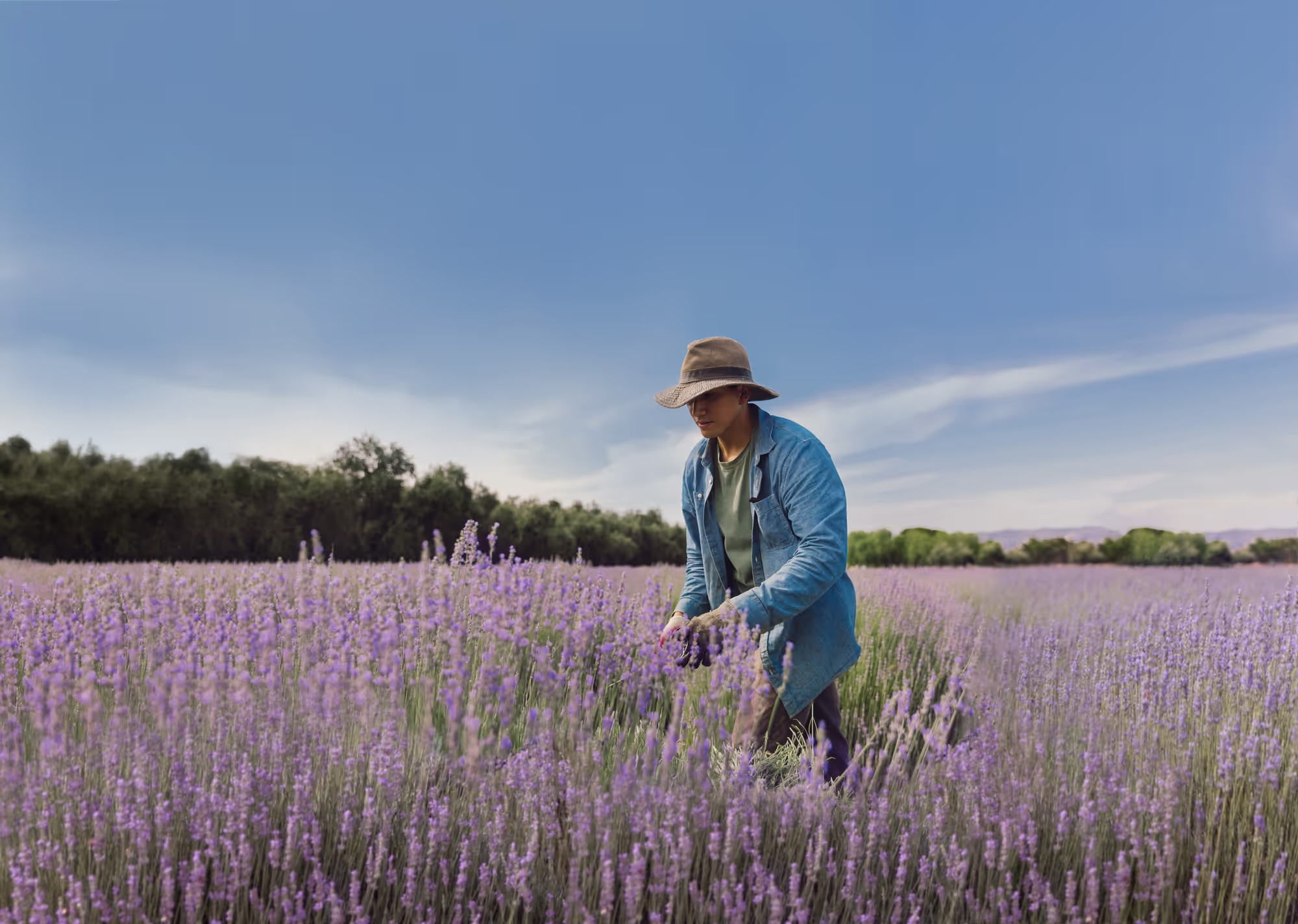 22nd Annual Lavender Festival at 123 Farm